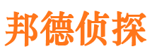 武功侦探公司